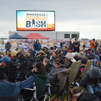 RT34 Concert Production Big Screen