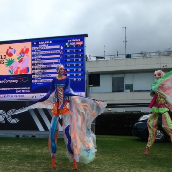 DR17 Caulfield Carnival